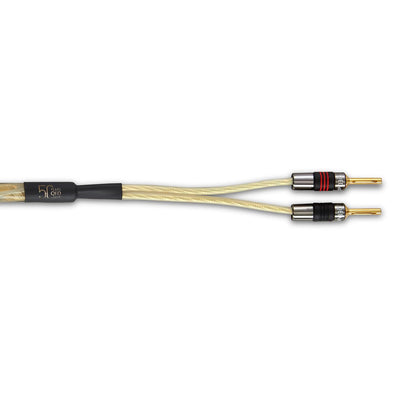 QED Golden Anniversary XT Speaker Cable