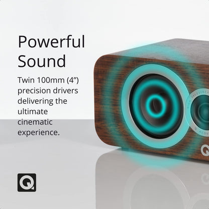 3090Ci Center Speaker